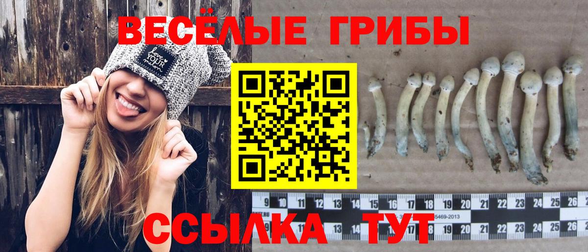 Псилоцибиновые грибы Cubensis Жигулёвск