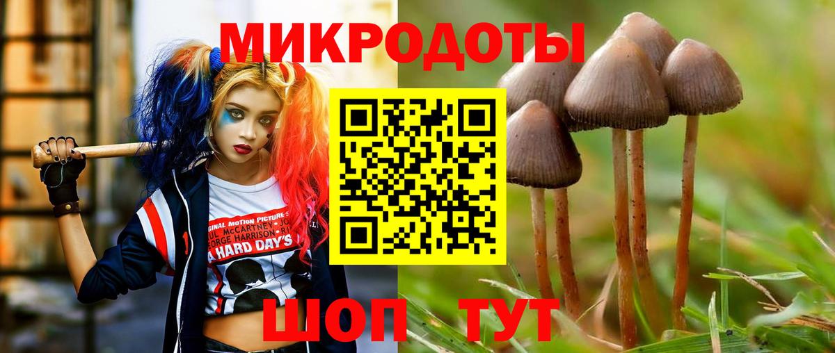 Галлюциногенные грибы Psilocybine cubensis  Вход с VPN  Жигулёвск  Псилоцибиновые грибы Psilocybine cubensis 